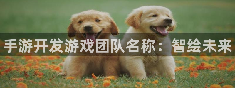 豪门国际历史：手游开发游戏团队名称：智绘未来