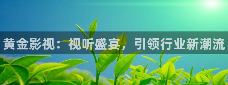 不卡在线观看片：黄金影视：视听盛宴，引领行业新潮流