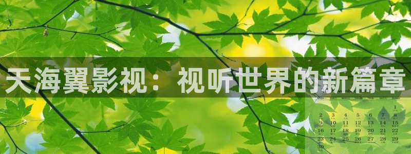 日韩三级电影不卡：天海翼影视：视听世界的新篇章