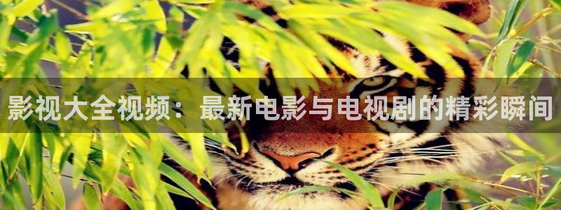 神马影院我不卡秋：影视大全视频：最新电影与电视剧的精彩瞬间