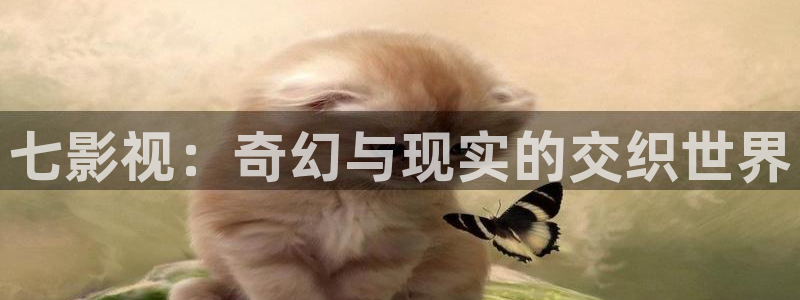 神马影院我不卡手机影院：七影视：奇幻与现实的交织世界