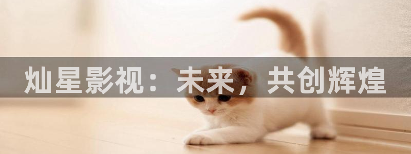 我不卡电影在线看：灿星影视：未来，共创辉煌