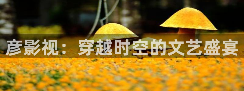 不卡影院久久：彦影视：穿越时空的文艺盛宴