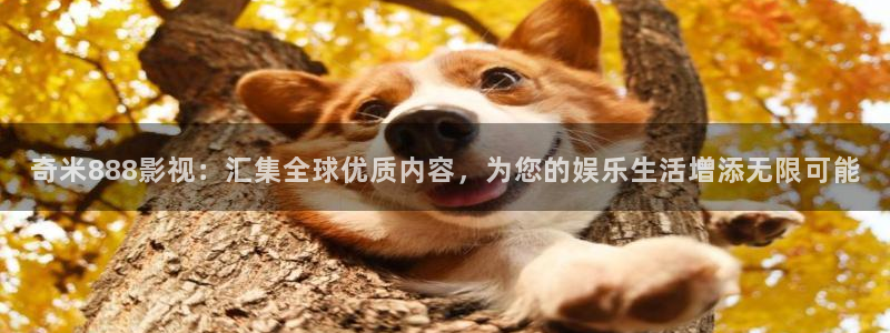 新不卡影院：奇米888影视：汇集全球优质内容，为您的娱乐生活增添无限可能